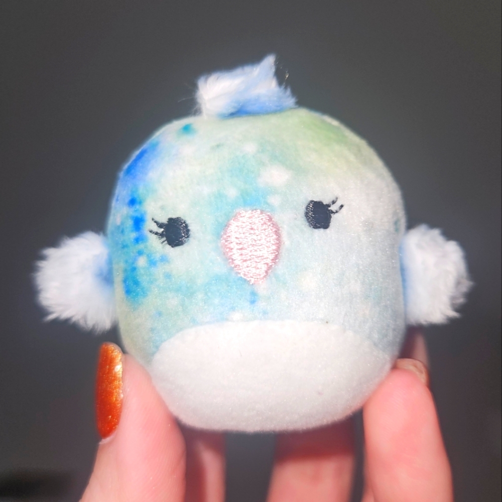 Lois the Parrot 🦜 Bird 🐦 2” Squishville by Squishmallows